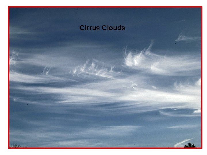 Cirrus Clouds 