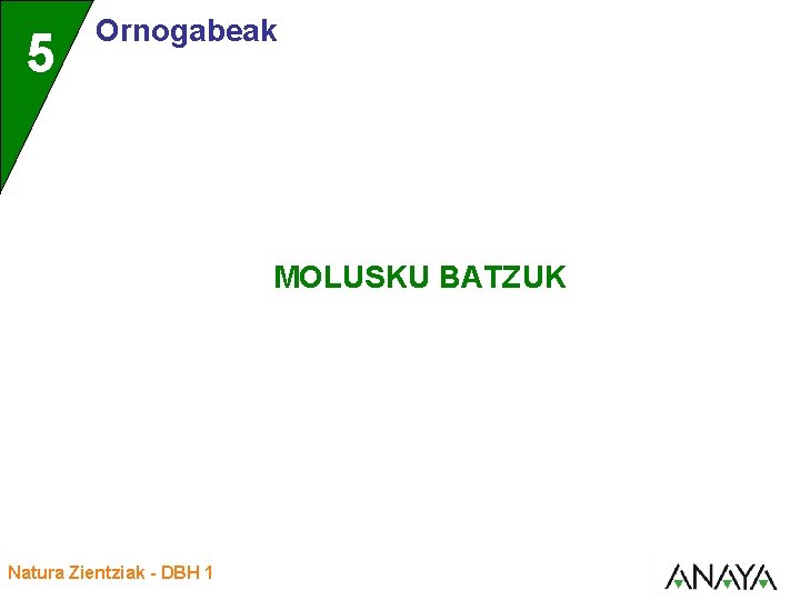 5 Ornogabeak MOLUSKU BATZUK Natura Zientziak - DBH 1 