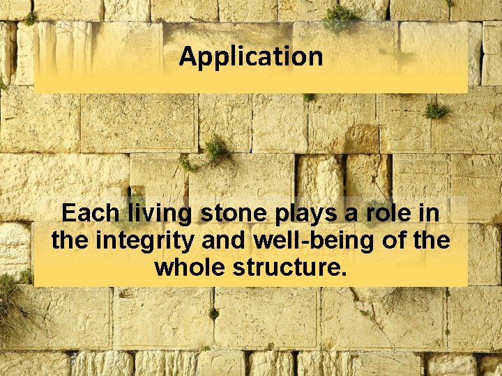 Application Each living stone plays a role in the integrity and well-being of the Application Each living stone plays a role in the integrity and well-being of the