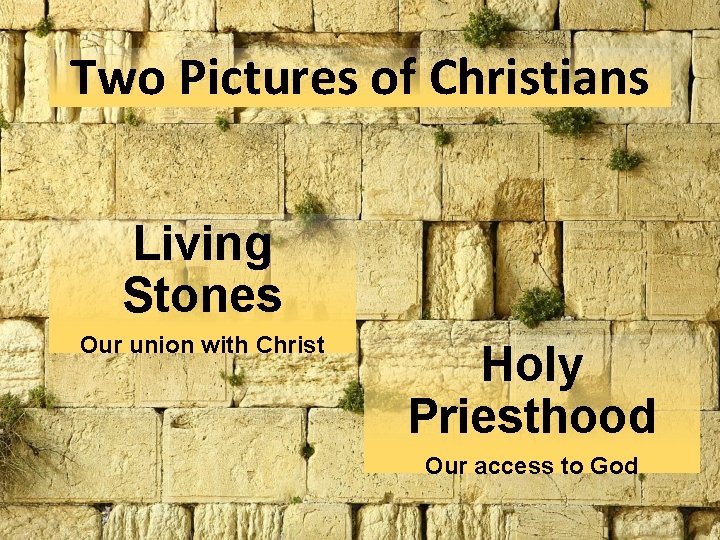 Two Pictures of Christians Living Stones Our union with Christ Holy Priesthood Our access Two Pictures of Christians Living Stones Our union with Christ Holy Priesthood Our access