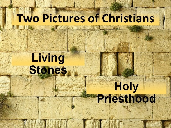 Two Pictures of Christians Living Stones Holy Priesthood Two Pictures of Christians Living Stones Holy Priesthood