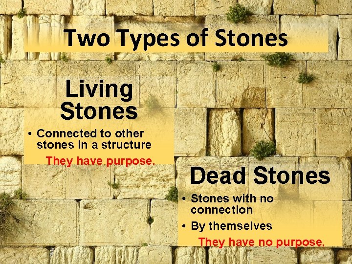 Two Types of Stones Living Stones • Connected to other stones in a structure Two Types of Stones Living Stones • Connected to other stones in a structure