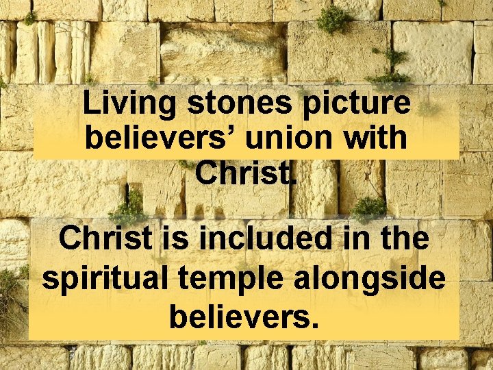 Living stones picture believers’ union with Christ is included in the spiritual temple alongside Living stones picture believers’ union with Christ is included in the spiritual temple alongside