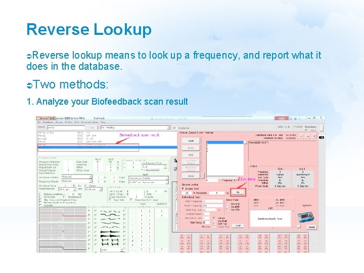 Reverse Lookup Reverse lookup means to look up a frequency, and report what it