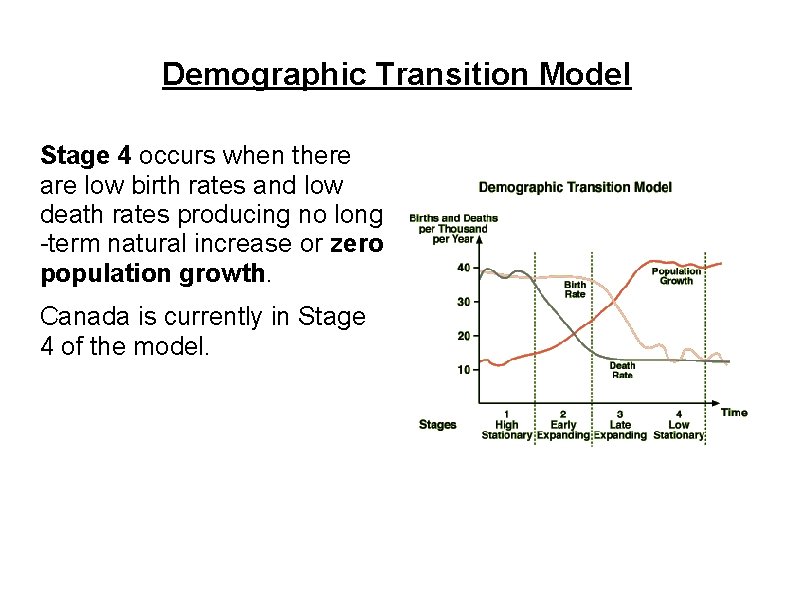 Demographic Transition Model Stage 4 occurs when there are low birth rates and low