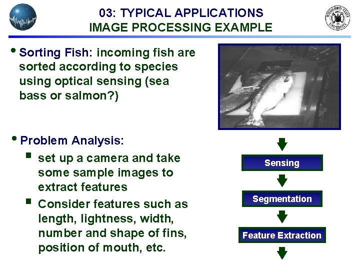 03: TYPICAL APPLICATIONS IMAGE PROCESSING EXAMPLE • Sorting Fish: incoming fish are sorted according