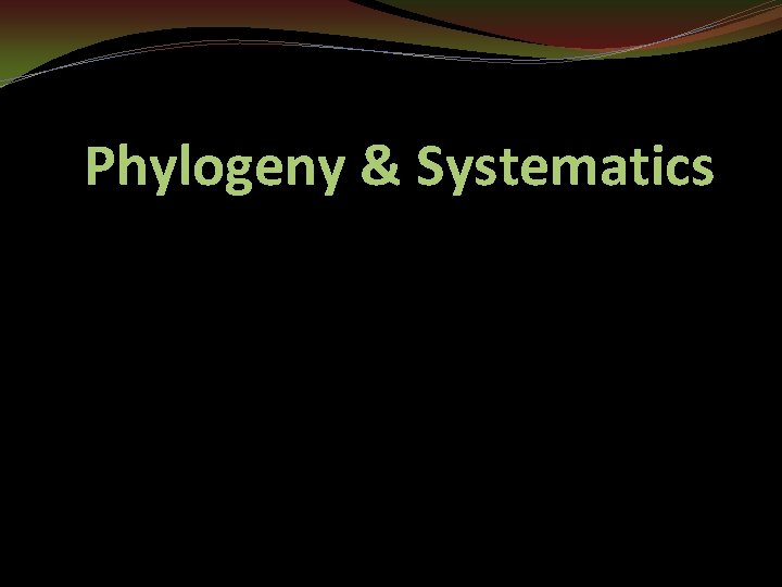 Phylogeny & Systematics 