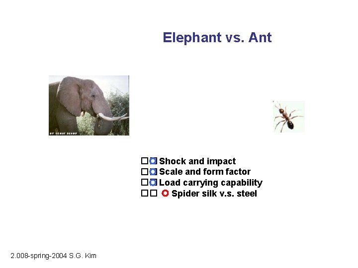 Elephant vs. Ant �� Shock and impact �� Scale and form factor �� Load