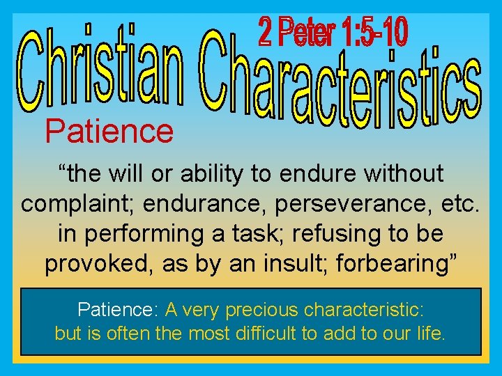 Patience “the will or ability to endure without complaint; endurance, perseverance, etc. in performing