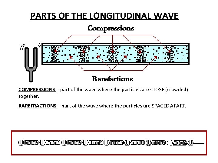 PARTS OF THE LONGITUDINAL WAVE COMPRESSIONS – part of the wave where the particles