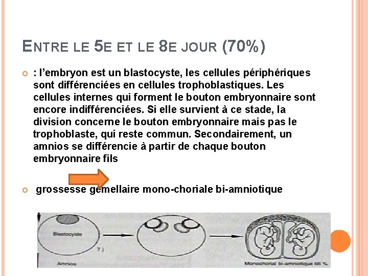ENTRE LE 5 E ET LE 8 E JOUR (70%) : l’embryon est un