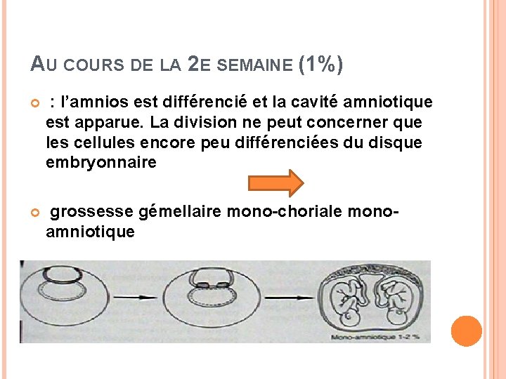 AU COURS DE LA 2 E SEMAINE (1%) : l’amnios est différencié et la