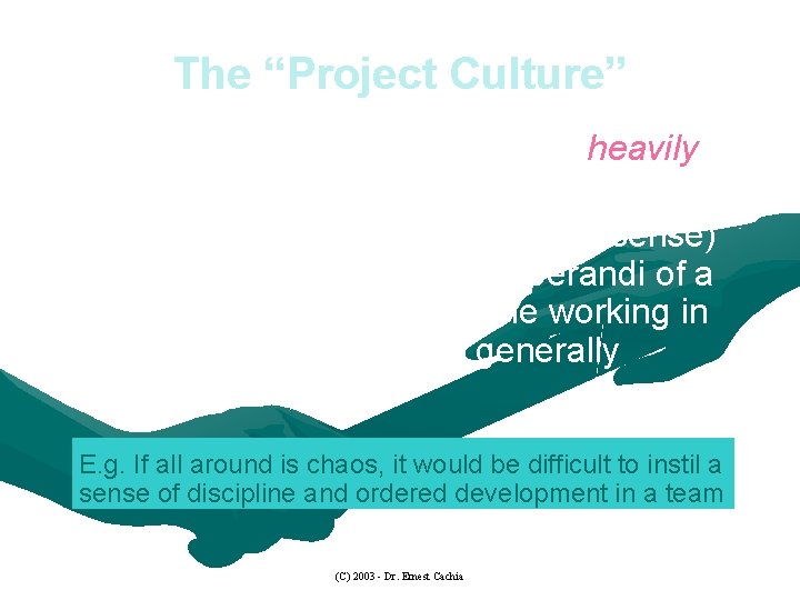 The “Project Culture” The Project Culture – which is heavily influenced by organisational culture