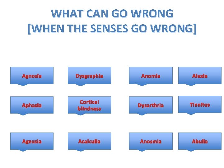 WHAT CAN GO WRONG [WHEN THE SENSES GO WRONG] Agnosia Dysgraphia Anomia Alexia Aphasia