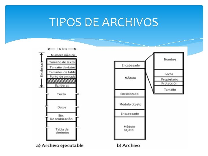 TIPOS DE ARCHIVOS 