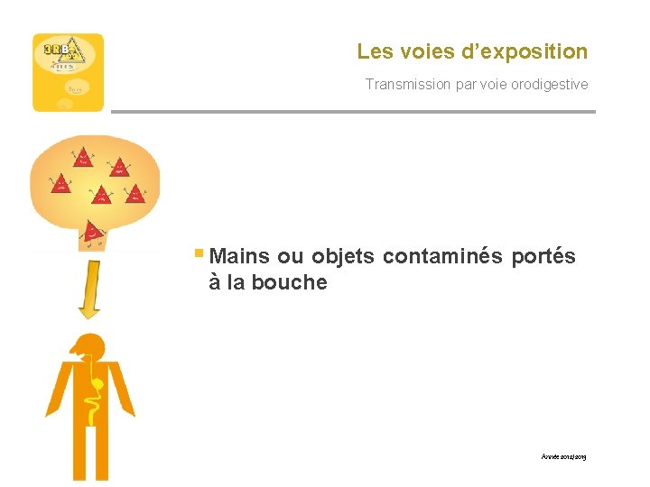 Les voies d’exposition Transmission par voie orodigestive § Mains ou objets contaminés portés à