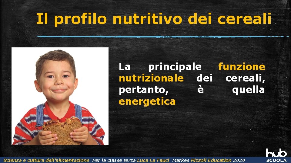Il profilo nutritivo dei cereali La principale funzione nutrizionale dei cereali, pertanto, è quella