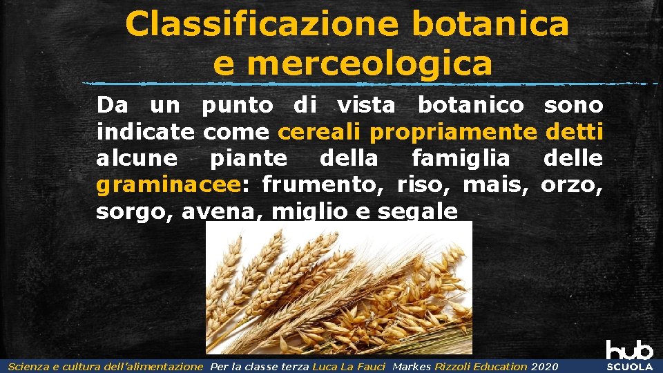 Classificazione botanica e merceologica Da un punto di vista botanico sono indicate come cereali