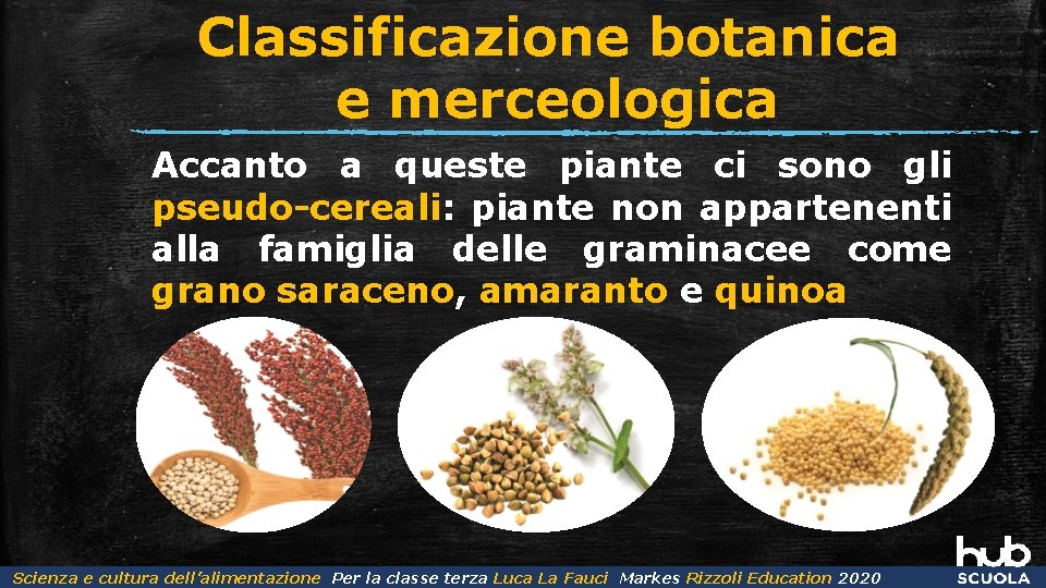Classificazione botanica e merceologica Accanto a queste piante ci sono gli pseudo-cereali: piante non