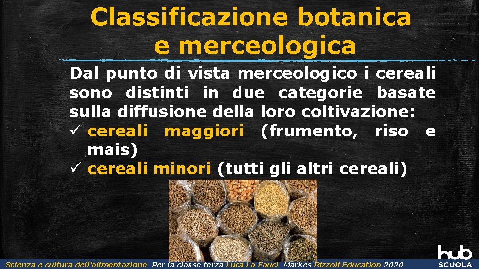 Classificazione botanica e merceologica Dal punto di vista merceologico i cereali sono distinti in