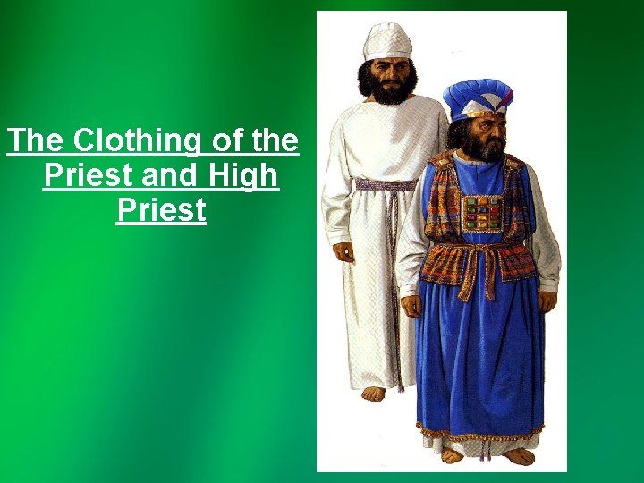 The Clothing of the Priest and High Priest 