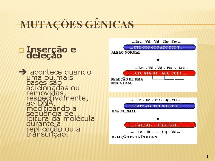 MUTAÇÕES GÊNICAS � Inserção e deleção acontece quando uma ou mais bases são adicionadas