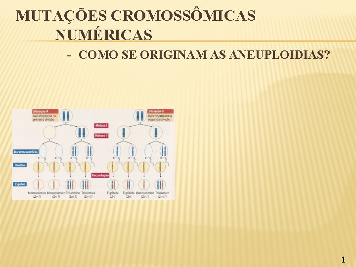 MUTAÇÕES CROMOSSÔMICAS NUMÉRICAS - COMO SE ORIGINAM AS ANEUPLOIDIAS? 1 