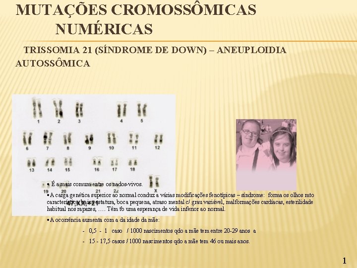 MUTAÇÕES CROMOSSÔMICAS NUMÉRICAS TRISSOMIA 21 (SÍNDROME DE DOWN) – ANEUPLOIDIA AUTOSSÔMICA É a mais