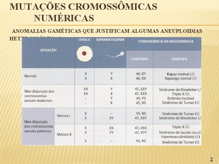 MUTAÇÕES CROMOSSÔMICAS NUMÉRICAS ANOMALIAS GAMÉTICAS QUE JUSTIFICAM ALGUMAS ANEUPLOIDIAS HETEROSSÔMICAS 2 