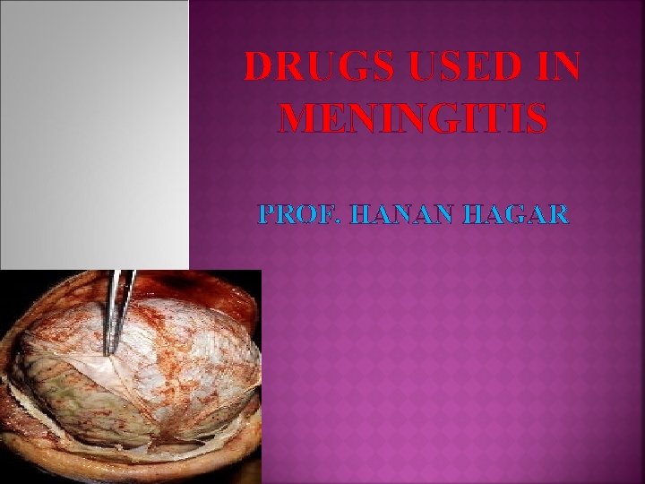 DRUGS USED IN MENINGITIS PROF. HANAN HAGAR 