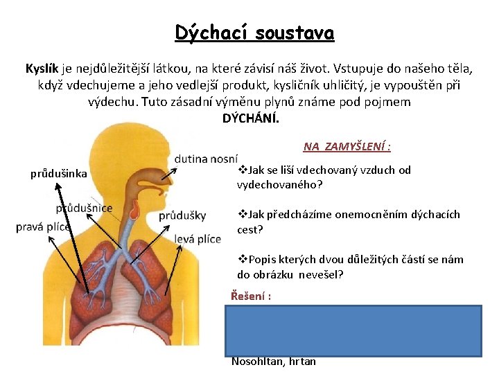 Dýchací soustava Kyslík je nejdůležitější látkou, na které závisí náš život. Vstupuje do našeho