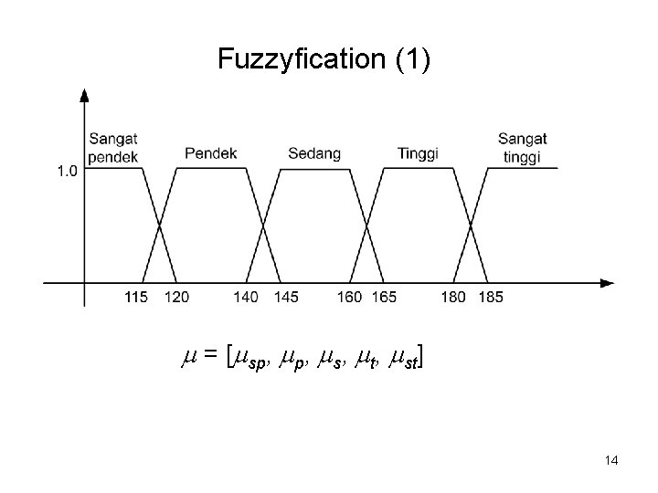 Fuzzyfication (1) = [ sp, s, t, st] 14 