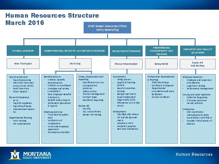 Human Resources Structure March 2016 Chief Human Resources Officer Cathy Hasenpflug PAYROLL SERVICES COMPENSATION,