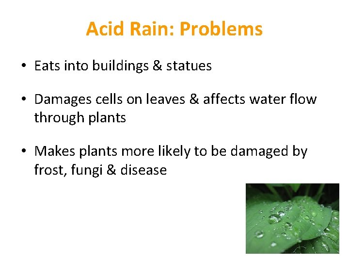 Acid Rain: Problems • Eats into buildings & statues • Damages cells on leaves Acid Rain: Problems • Eats into buildings & statues • Damages cells on leaves