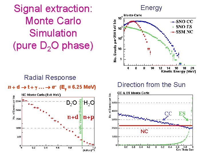 Signal extraction: Monte Carlo Simulation (pure D 2 O phase) Radial Response n d