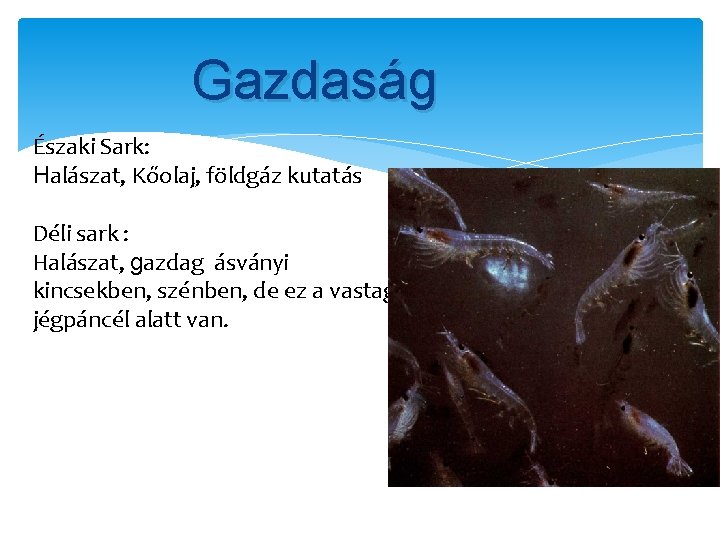 Gazdaság Északi Sark: Halászat, Kőolaj, földgáz kutatás Déli sark : Halászat, gazdag ásványi kincsekben,