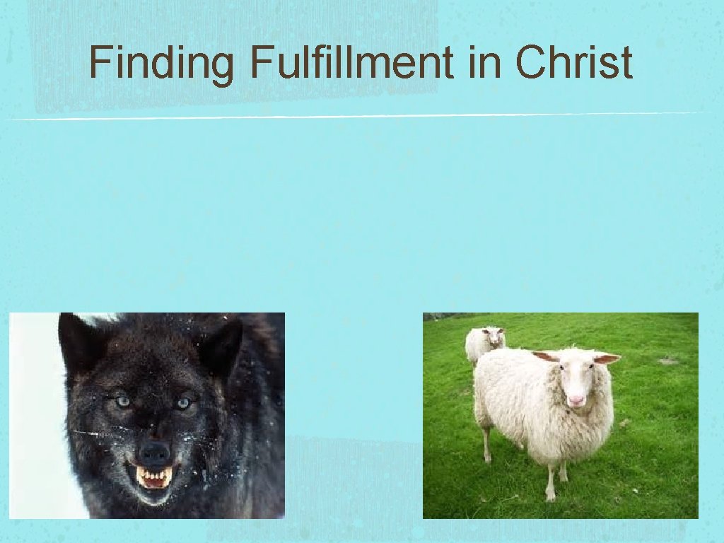 Finding Fulfillment in Christ 