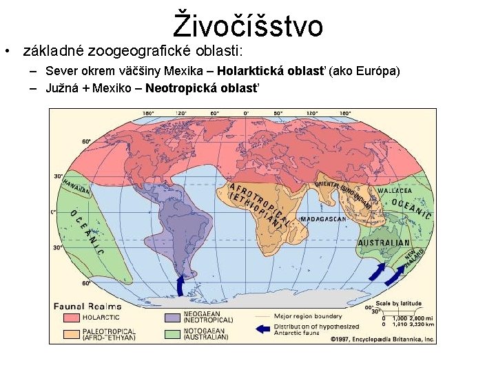 Živočíšstvo • základné zoogeografické oblasti: – Sever okrem väčšiny Mexika – Holarktická oblasť (ako