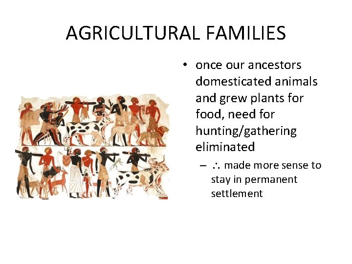 AGRICULTURAL FAMILIES • once our ancestors domesticated animals and grew plants for food, need