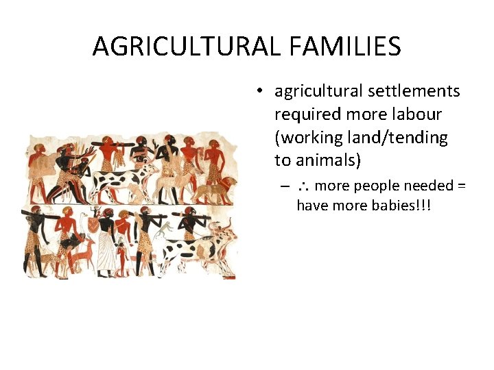 AGRICULTURAL FAMILIES • agricultural settlements required more labour (working land/tending to animals) – more