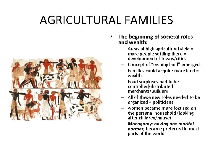 AGRICULTURAL FAMILIES • The beginning of societal roles and wealth: – Areas of high