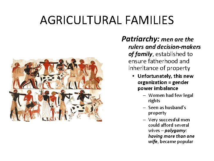 AGRICULTURAL FAMILIES Patriarchy: men are the rulers and decision-makers of family, established to ensure