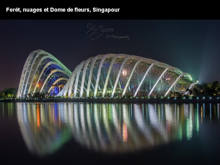 Forêt, nuages et Dome de fleurs, Singapour 