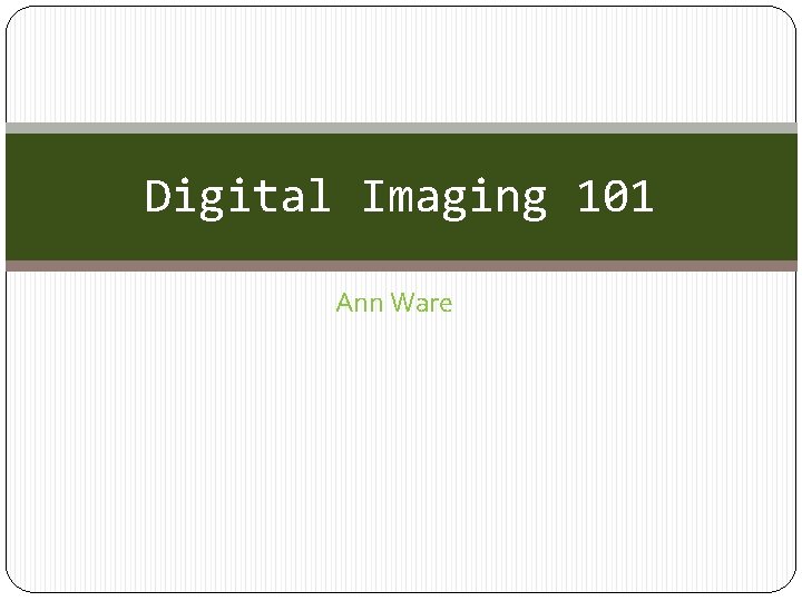 Digital Imaging 101 Ann Ware 