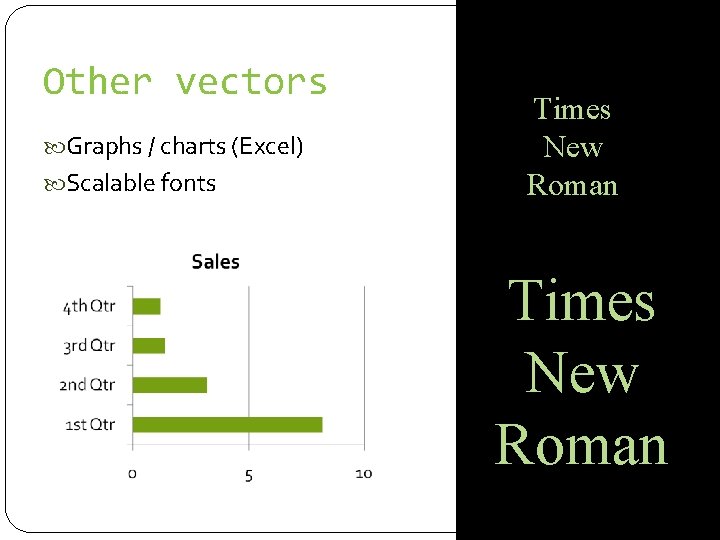 Other vectors Graphs / charts (Excel) Scalable fonts Times New Roman 