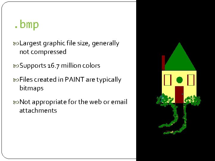 . bmp Largest graphic file size, generally not compressed Supports 16. 7 million colors