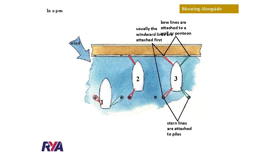 Mooring Alongside In a pen bow lines are usually the attached to a wallare