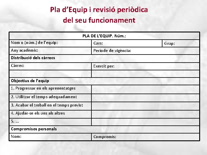 Pla d’Equip i revisió periòdica del seu funcionament PLA DE L’EQUIP. Núm. : Nom