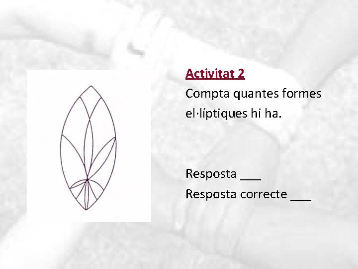 Activitat 2 Compta quantes formes el·líptiques hi ha. Resposta ___ Resposta correcte ___ 