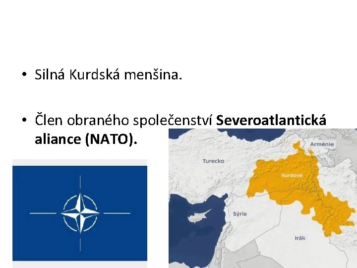  • Silná Kurdská menšina. • Člen obraného společenství Severoatlantická aliance (NATO). 
